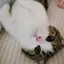 ろんろんのプロフィール画像