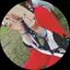 佐藤美帆のプロフィール画像