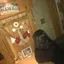 ナナのプロフィール画像