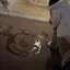 じゅなのプロフィール画像