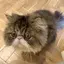 もものプロフィール画像