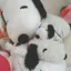 まふゆのプロフィール画像