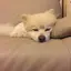 はるぽのプロフィール画像