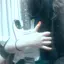 さきのプロフィール画像