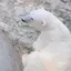 ちぃのプロフィール画像