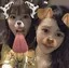 sakiのプロフィール画像