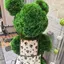 りほのプロフィール画像