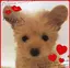 あーちゃんのプロフィール画像