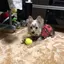 づーはーのプロフィール画像