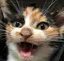 めいのプロフィール画像