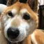 あやかのプロフィール画像