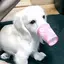 あやみのプロフィール画像