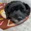 rikoのプロフィール画像