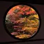 さくらのプロフィール画像