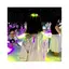 あらいのプロフィール画像