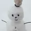 RUMIのプロフィール画像