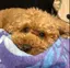 ななみのプロフィール画像