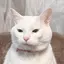 はなのプロフィール画像
