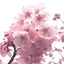 ちえこのプロフィール画像