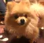 涼香のプロフィール画像