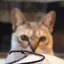 三のプロフィール画像
