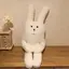 うのちゃんのプロフィール画像