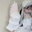♡のプロフィール画像