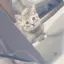 ゆらのプロフィール画像
