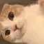 yommyのプロフィール画像