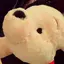 ちーのプロフィール画像