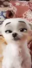 カナのプロフィール画像