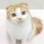 えびちゃんのプロフィール画像