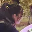 ちーのプロフィール画像