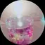 しばたのプロフィール画像