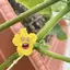 ゆーちゃんままのプロフィール画像