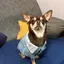 ちょらのプロフィール画像