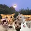 美宙のプロフィール画像