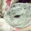 みおのプロフィール画像