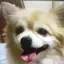 YANのプロフィール画像