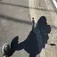 たこのプロフィール画像