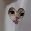 はくのプロフィール画像