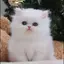 結衣のプロフィール画像