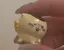 Cのプロフィール画像
