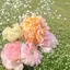 ゆのプロフィール画像