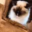Dのプロフィール画像