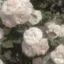 えまのプロフィール画像