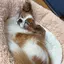 ややのプロフィール画像