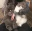 まるのプロフィール画像