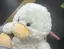 うんごいのプロフィール画像