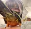きむらのプロフィール画像